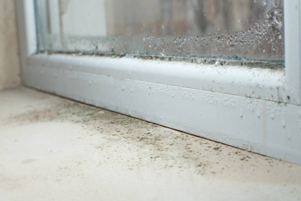 Best Residential Mold Inspection & Testing  in Claremore, OK